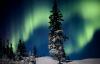 Natural Scenes (8)
